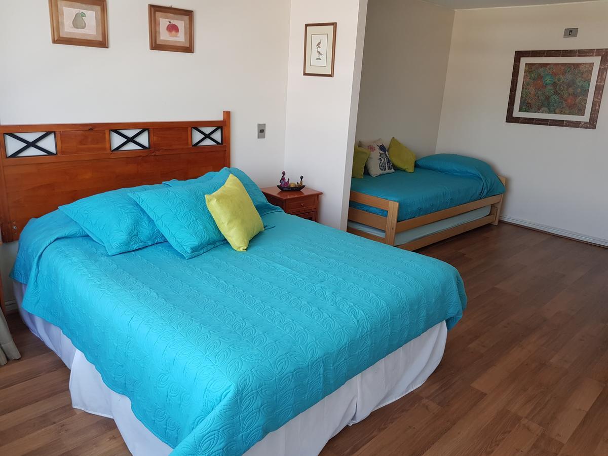 Pedro De Valdivia Apartment Providencia Сантьяго Экстерьер фото
